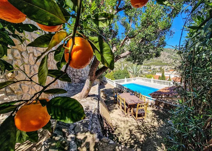 Bona Vista * カルプ